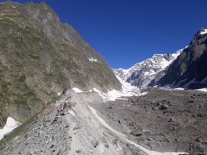 La moraine du glacier de Miage et ses bouquetins